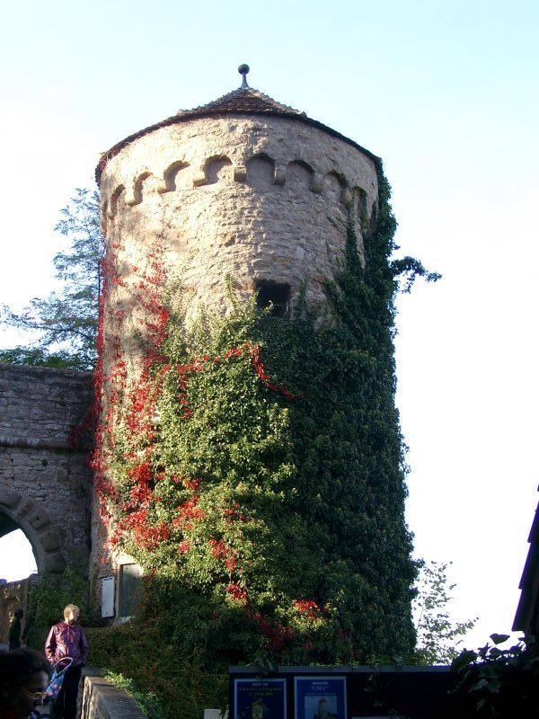 Burg Guttenberg