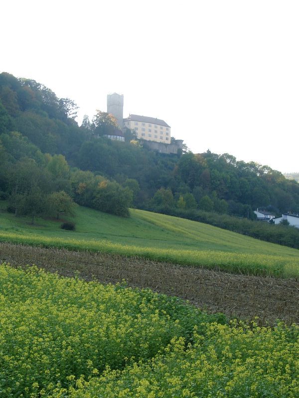 Burg Guttenberg