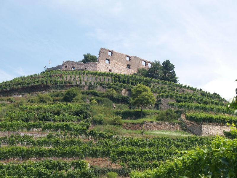 Burg Staufen