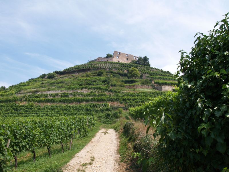 Burg Staufen