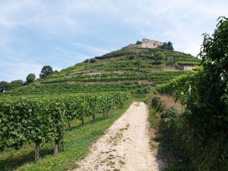 Burg Staufen