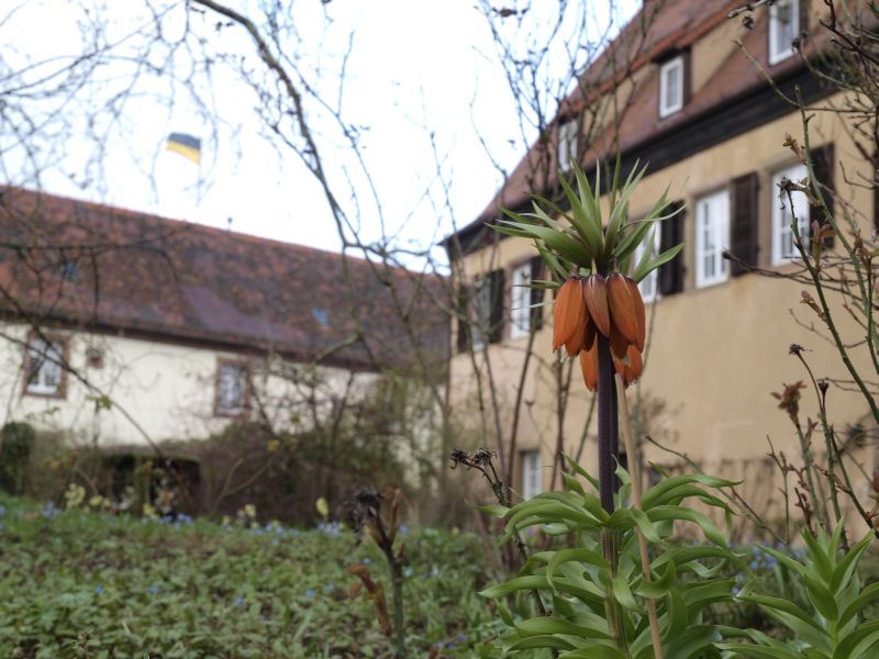 Burg Stettenfels