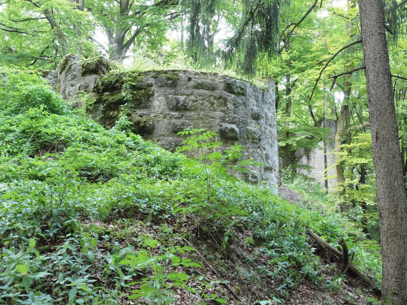 Burg Ehrenfels