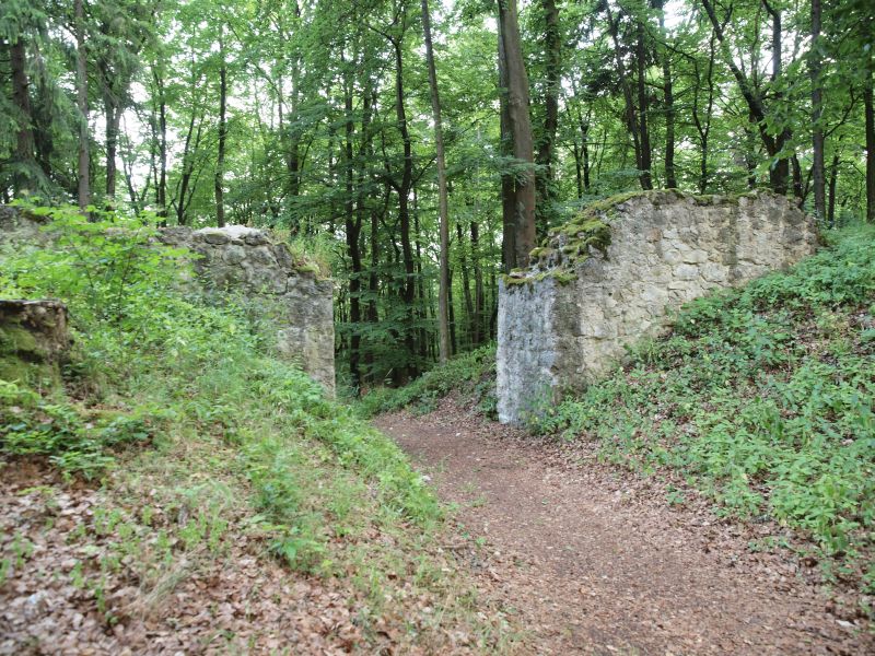 Burg Ehrenfels