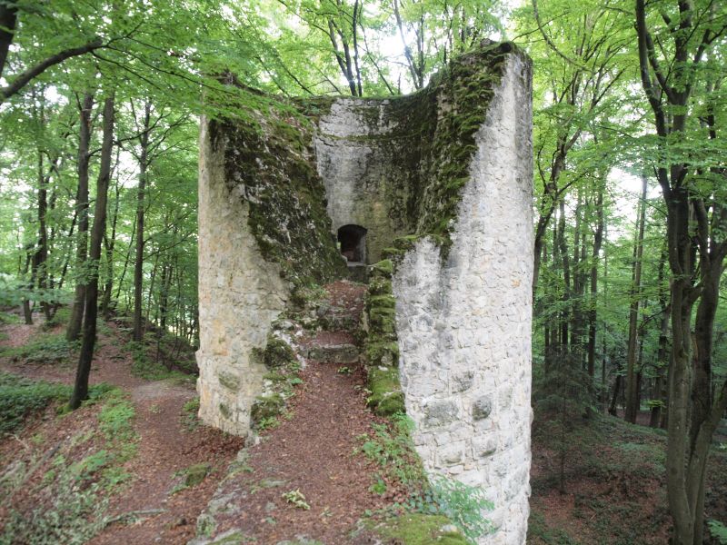 Burg Ehrenfels