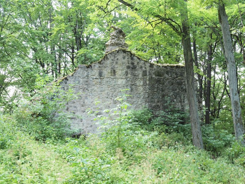 Burg Ehrenfels