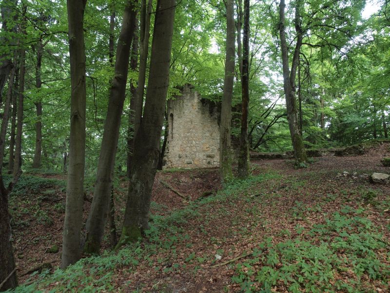 Burg Ehrenfels