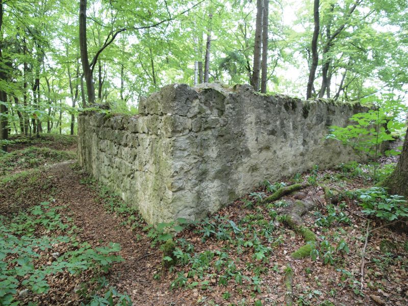 Burg Ehrenfels