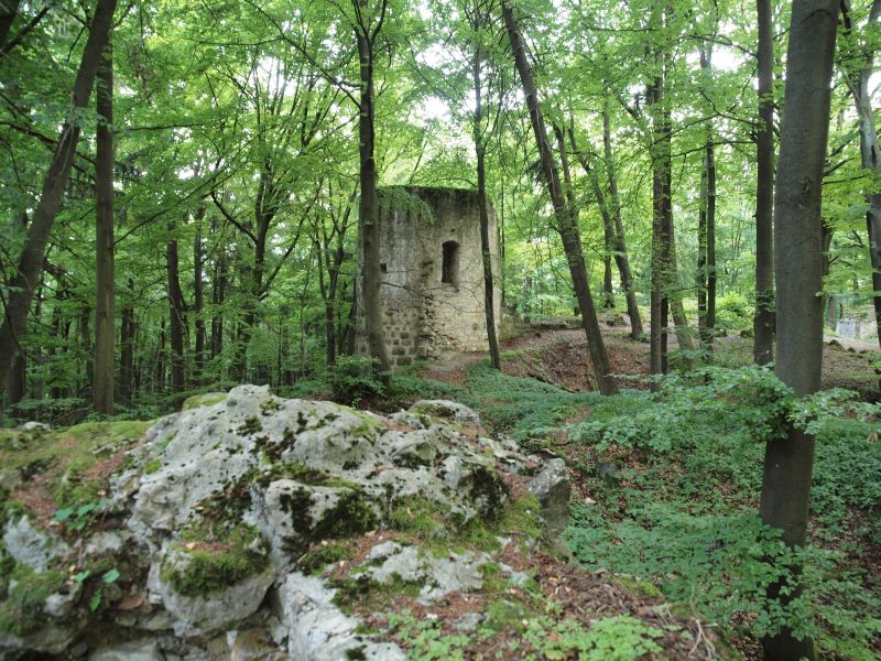 Burg Ehrenfels