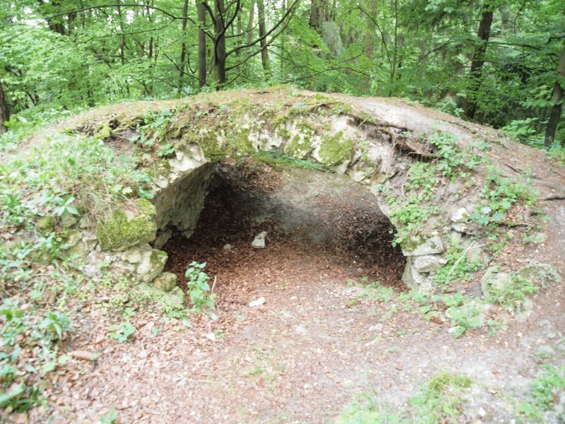 Burg Ehrenfels