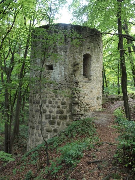 Burg Ehrenfels