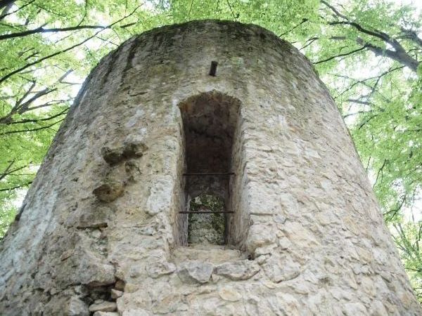 Burg Ehrenfels