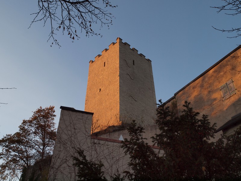 Burg Falkenstein