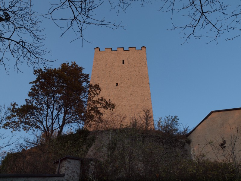 Burg Falkenstein