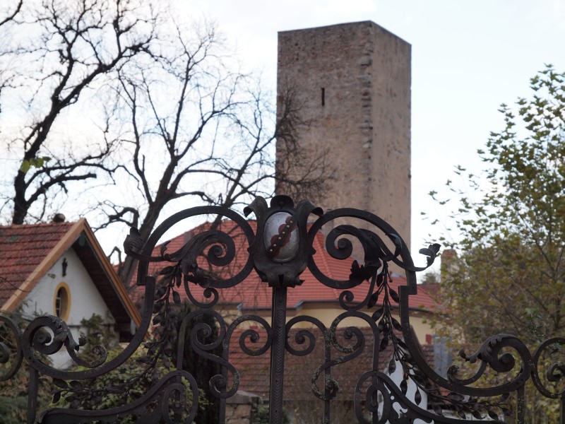 Burg Regenpeilstein