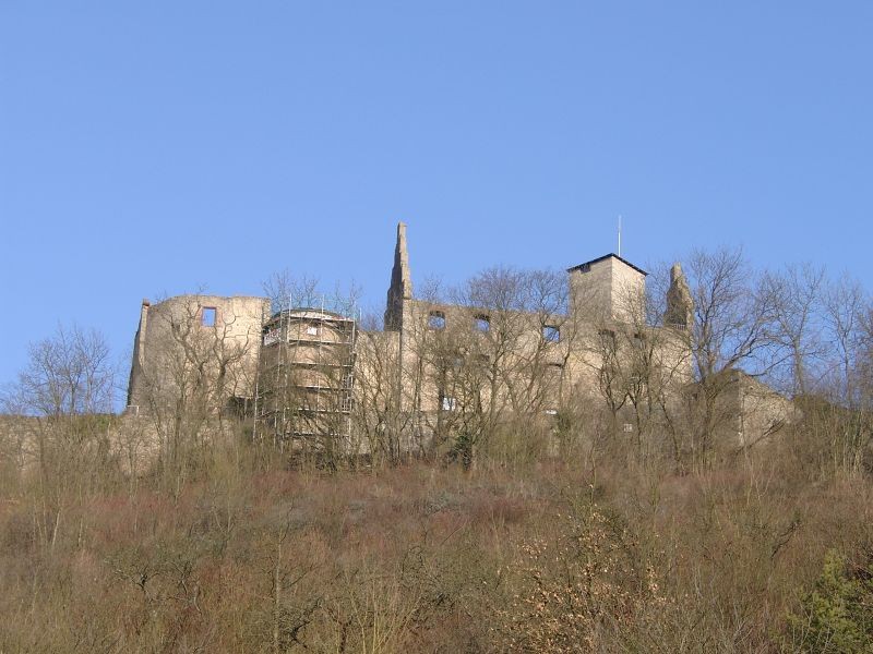 Burg Trimburg