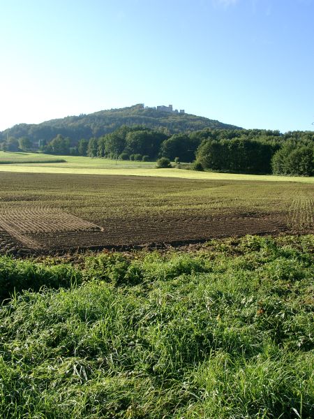 Burg Wolfstein