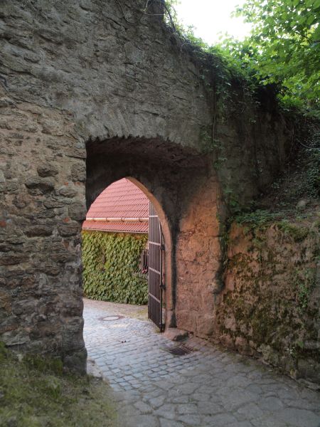 Burgruine Leuchtenberg