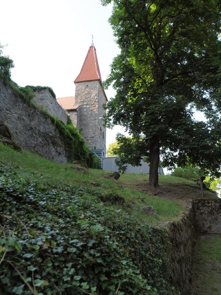 Burgruine Leuchtenberg