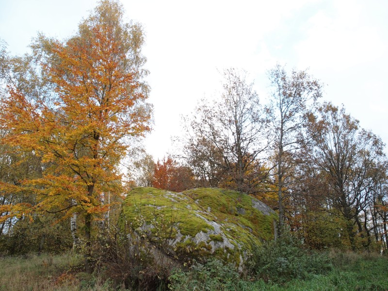 Burgruine Lobenstein