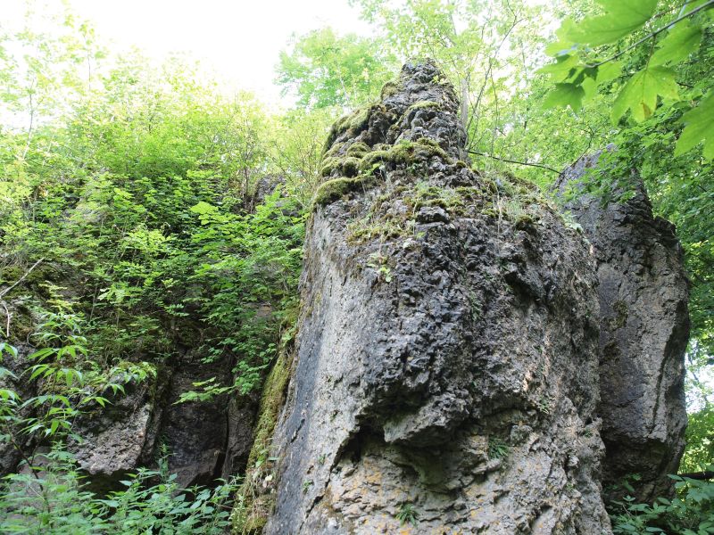 Burgruine Stierberg