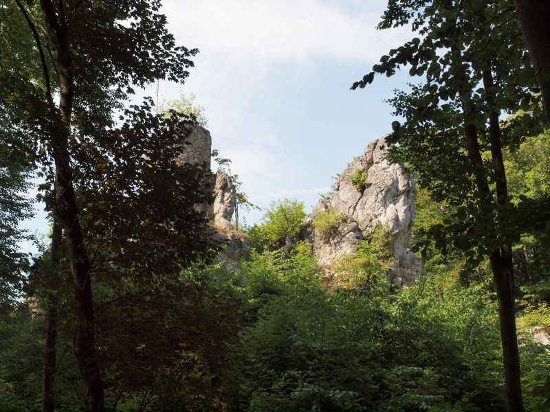 Burgruine Stierberg