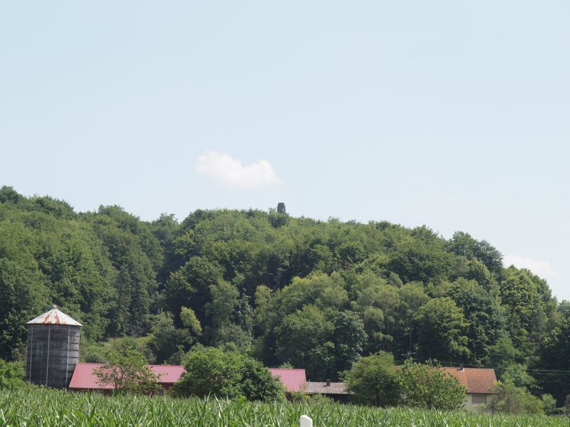 Burgruine Wildenfels