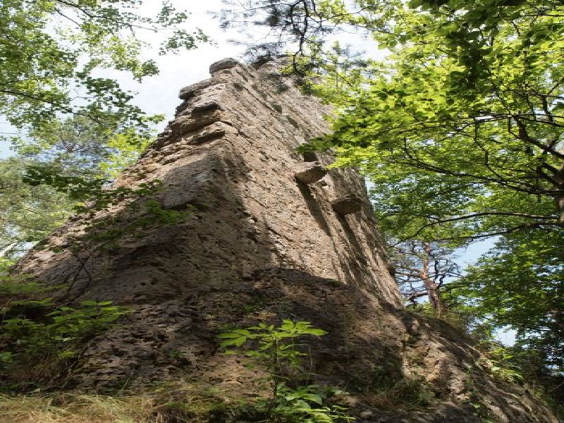 Burgruine Wildenfels