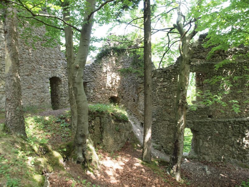 Burgruine Wildenfels