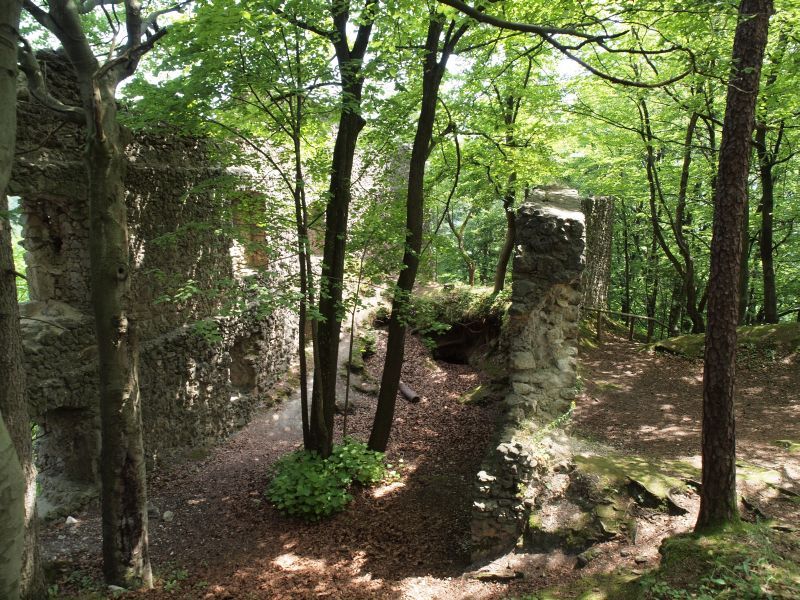 Burgruine Wildenfels