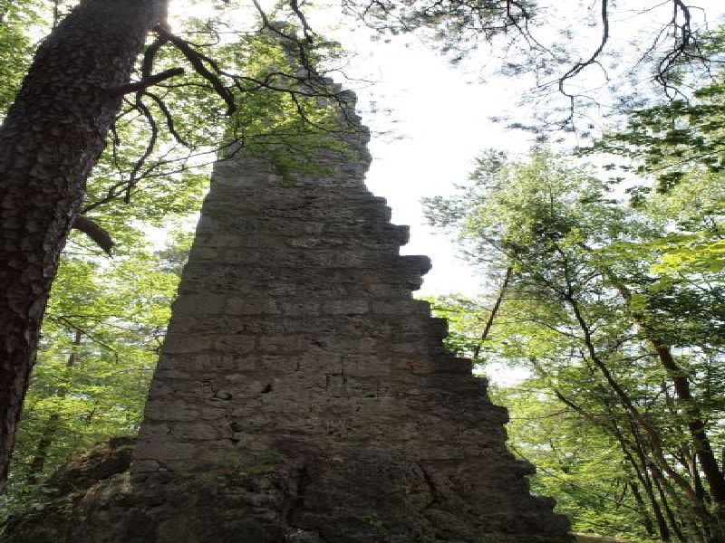 Burgruine Wildenfels