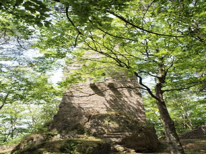 Burgruine Wildenfels