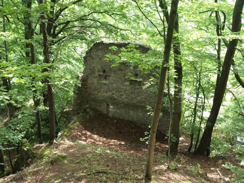 Burgruine Wildenfels