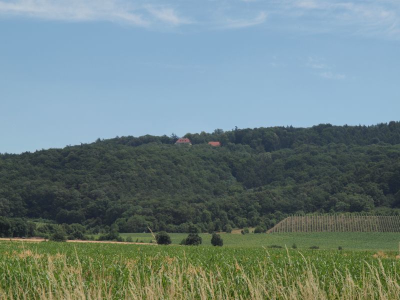 Jagdschloss Friedrichsberg