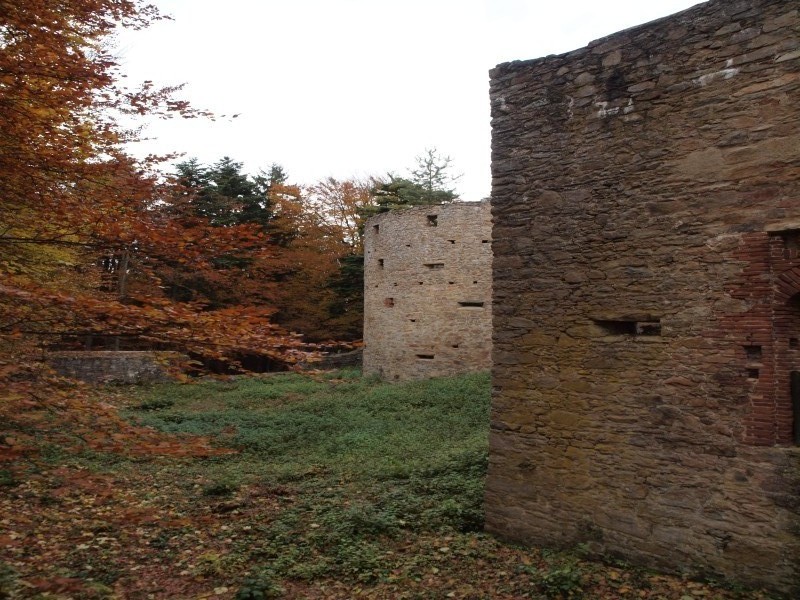 Ruine Krnberg