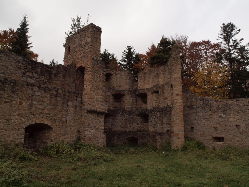 Ruine Krnberg