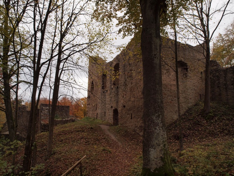 Ruine Krnberg