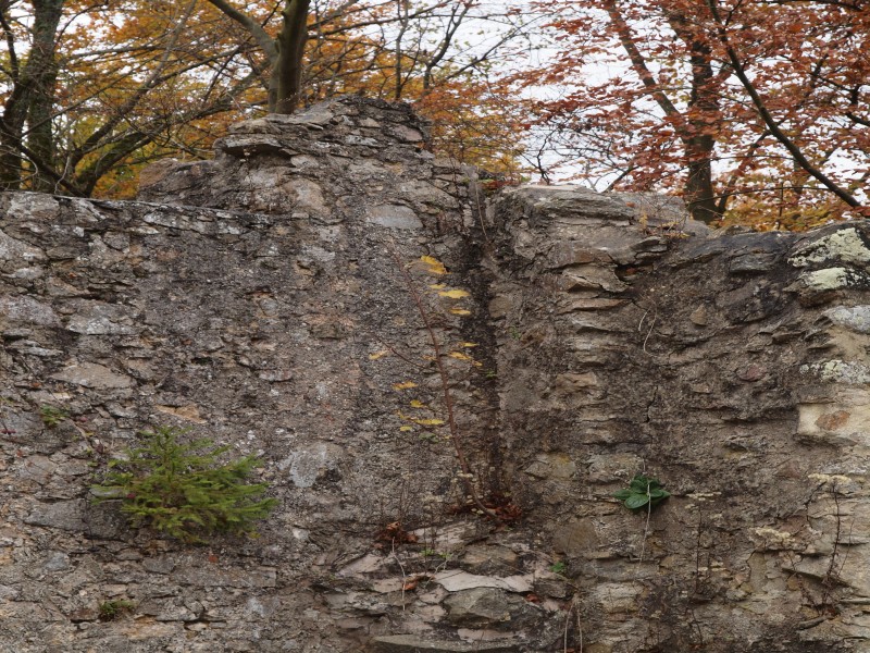 Ruine Krnberg