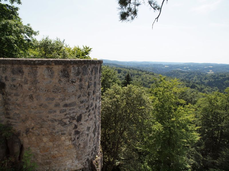 Ruine Leienfels