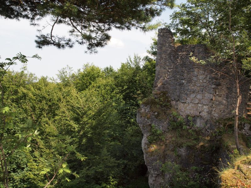 Ruine Leienfels