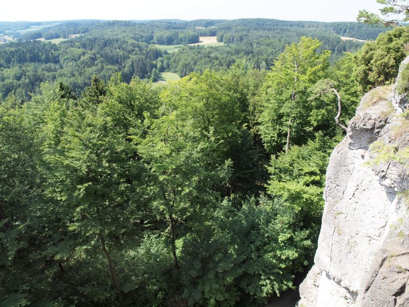 Ruine Leienfels