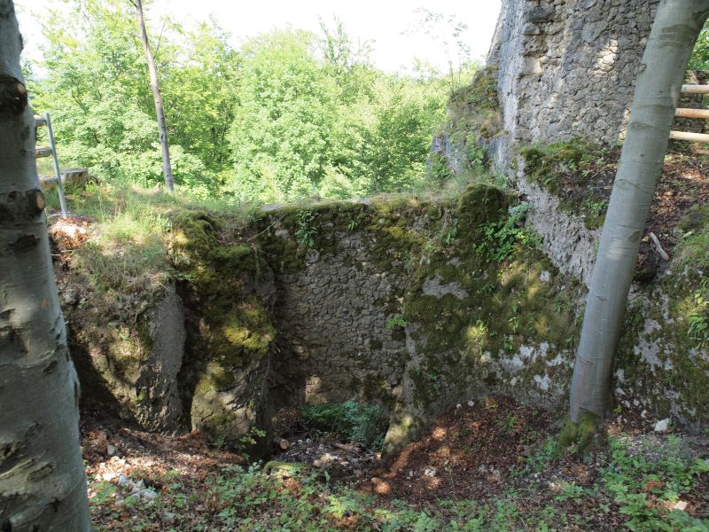 Ruine Leienfels