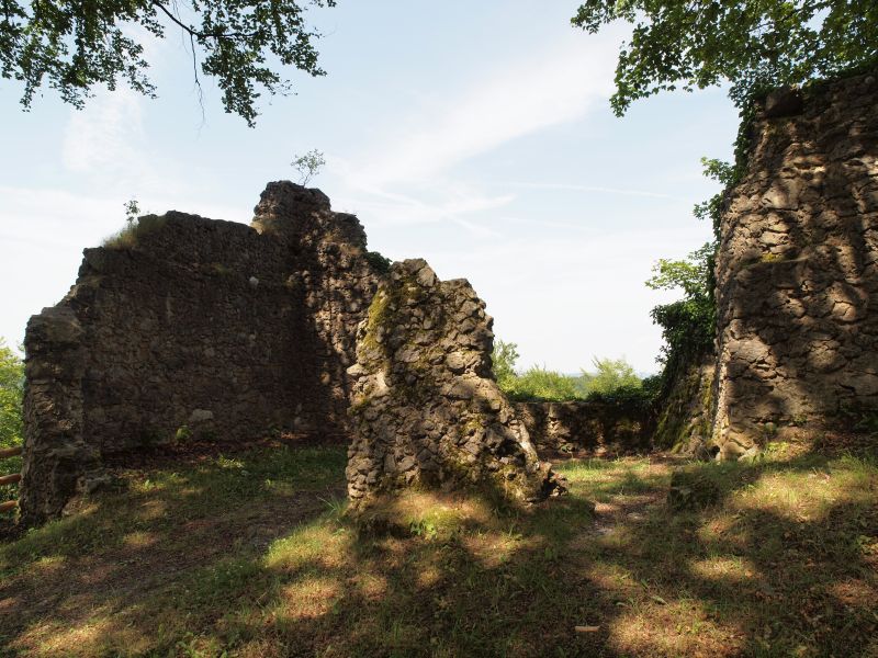 Ruine Leienfels