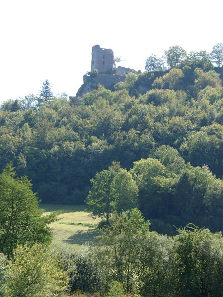 Ruine Neideck