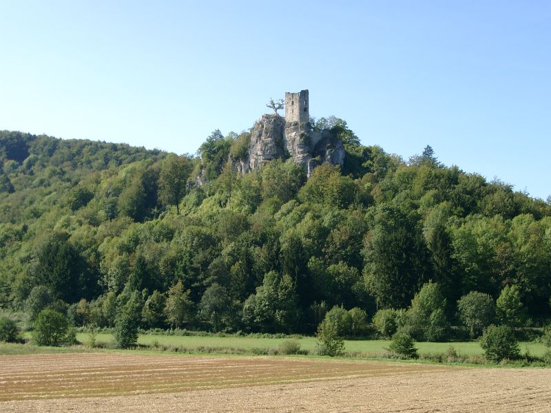 Ruine Neideck