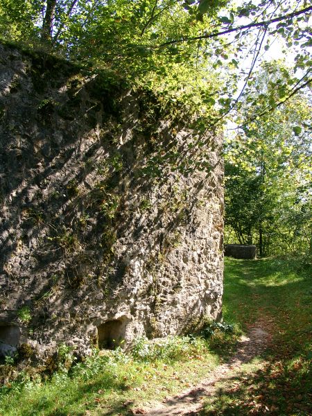 Ruine Streitburg