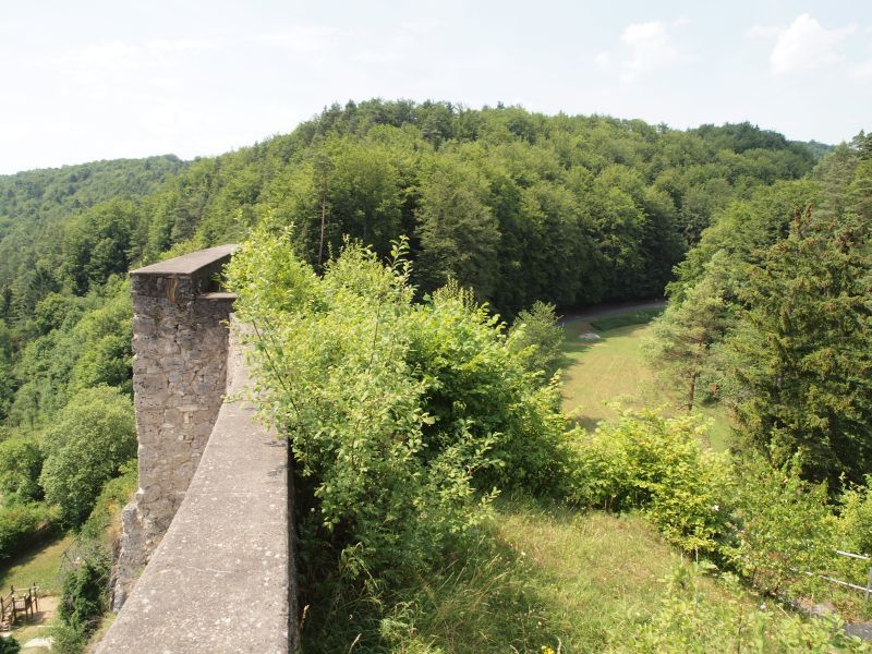 Ruine Wolfsberg