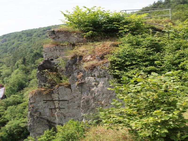 Ruine Wolfsberg