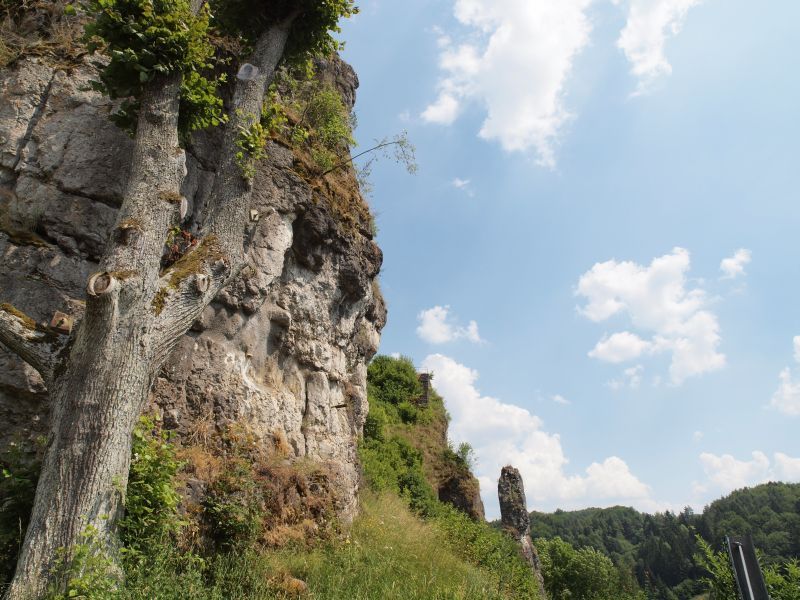 Ruine Wolfsberg