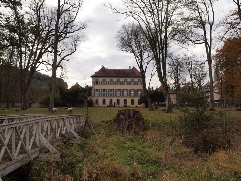 Schloss Birkenfeld